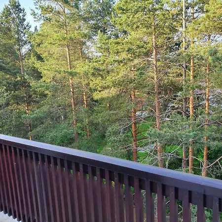 Lisica 24 * Divčibare