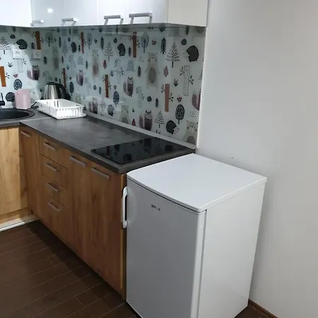 Lisica 24 Divčibare