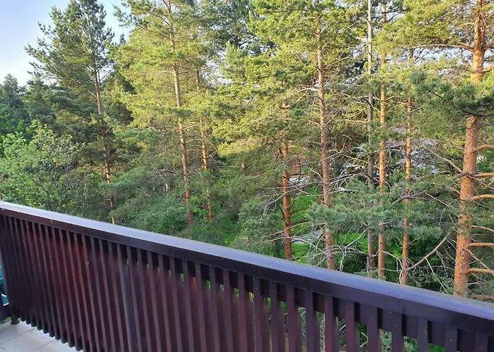 Lisica 24 * Дивчибаре