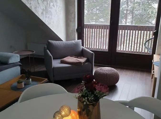 Lisica 24 Divčibare