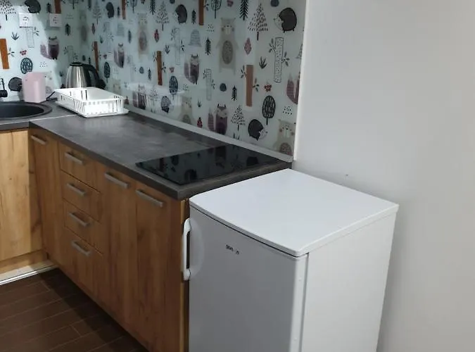 Lisica 24 Дивчибаре